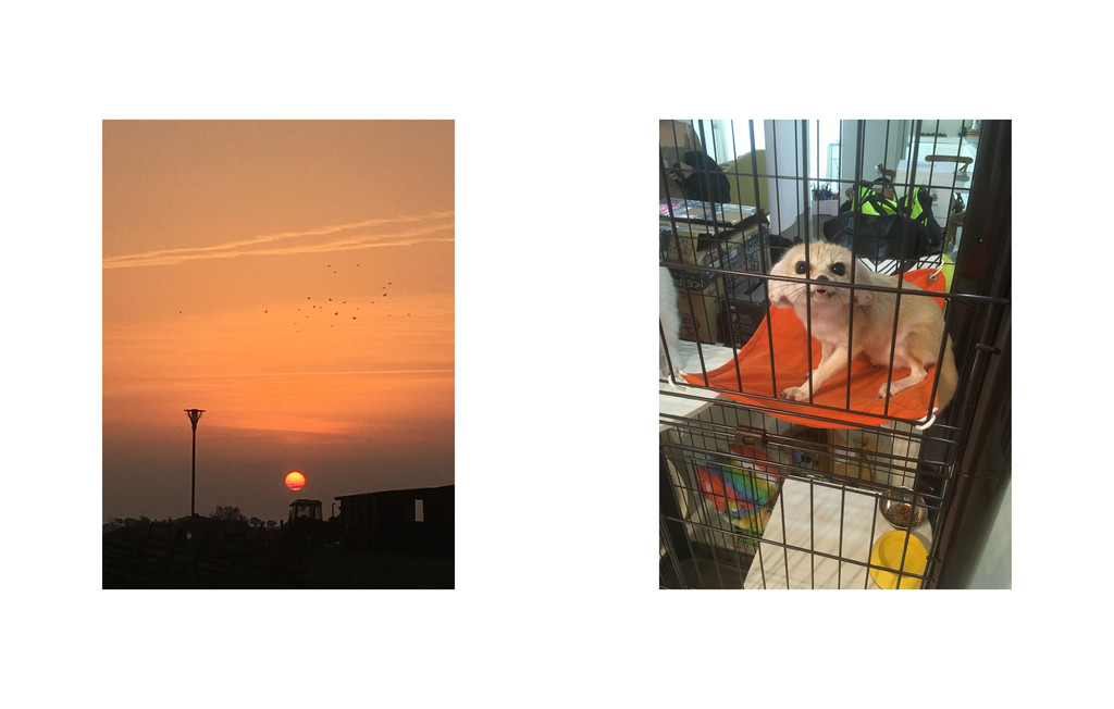 Yung Lean 256gb BOOK - © Suzie & Leo